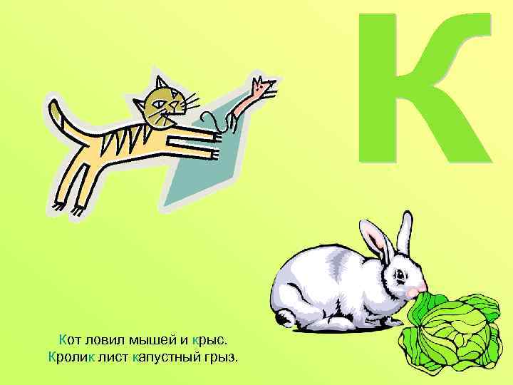 Кот ловил мышей и крыс. Кролик лист капустный грыз. 