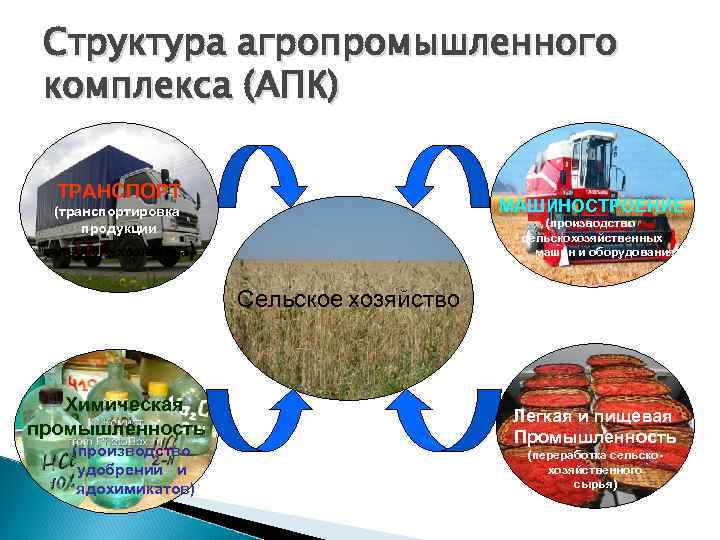 Структура агропромышленного комплекса (АПК) ТРАНСПОРТ МАШИНОСТРОЕНИЕ (транспортировка продукции (производство сельскохозяйственных машин и оборудования) сельского