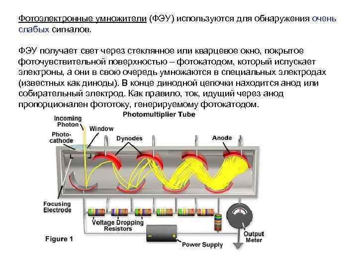 Фотоэлектронные умножители (ФЭУ) используются для обнаружения очень слабых сигналов. ФЭУ получает свет через стеклянное