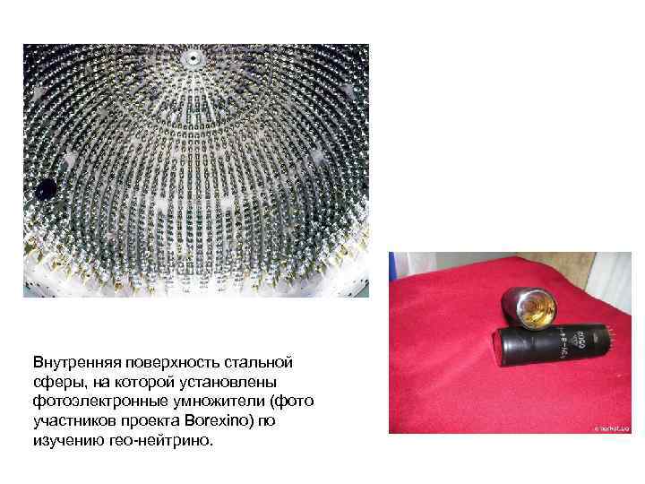 Внутренняя поверхность стальной сферы, на которой установлены фотоэлектронные умножители (фото участников проекта Borexino) по