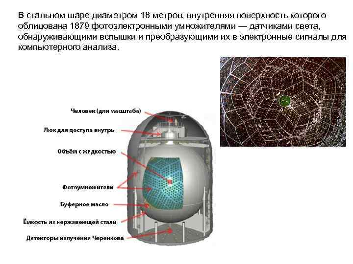 В стальном шаре диаметром 18 метров, внутренняя поверхность которого облицована 1879 фотоэлектронными умножителями —