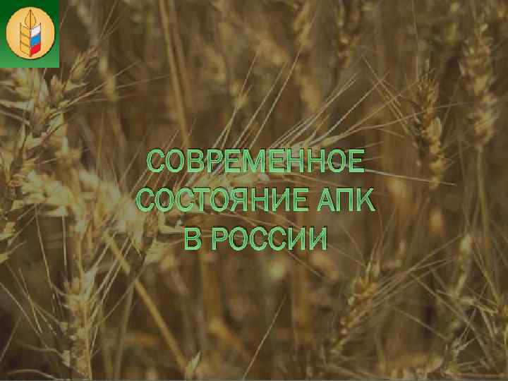 СОВРЕМЕННОЕ СОСТОЯНИЕ АПК В РОССИИ 