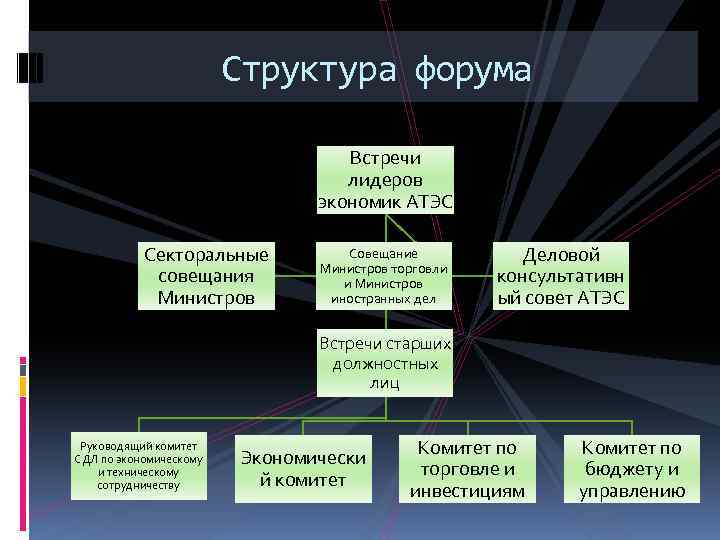 Структура форума Встречи лидеров экономик АТЭС Секторальные совещания Министров Совещание Министров торговли и Министров