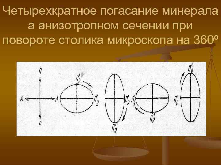 Четырехкратное погасание минерала а анизотропном сечении при повороте столика микроскопа на 360º 