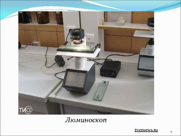 Люминоскоп tvernews. ru 7 