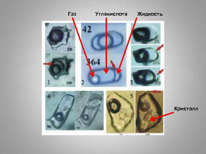 Газ Углекислота Жидкость Кристалл 7 