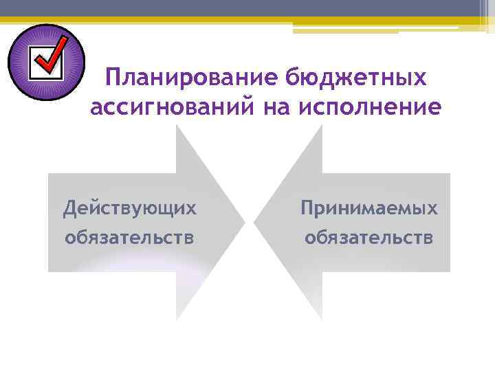 Планирование бюджетных ассигнований на исполнение Действующих обязательств Принимаемых обязательств 