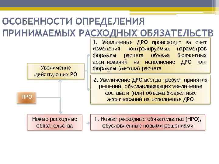 Принять определение. Действующие и принимаемые расходные обязательства. Примеры действующих расходных обязательств. Действующие расходные обязательства это. Расходные обязательства примеры.