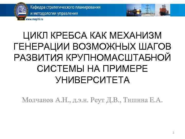 ЦИКЛ КРЕБСА КАК МЕХАНИЗМ ГЕНЕРАЦИИ ВОЗМОЖНЫХ ШАГОВ РАЗВИТИЯ КРУПНОМАСШТАБНОЙ СИСТЕМЫ НА ПРИМЕРЕ УНИВЕРСИТЕТА Молчанов