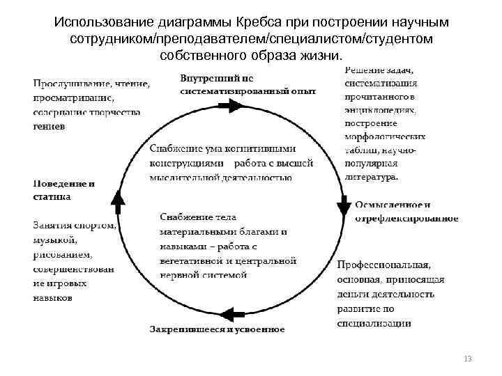 Использование диаграммы Кребса при построении научным сотрудником/преподавателем/специалистом/студентом собственного образа жизни. 13 