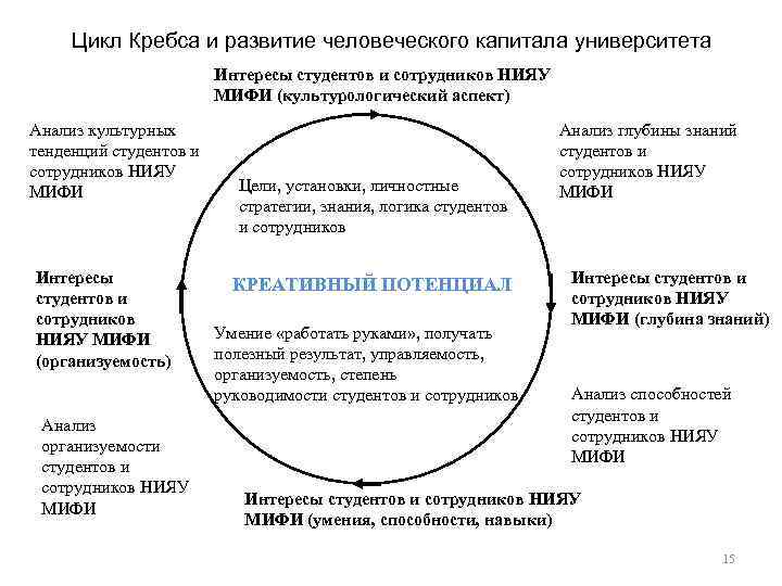 Цикл Кребса и развитие человеческого капитала университета Интересы студентов и сотрудников НИЯУ МИФИ (культурологический