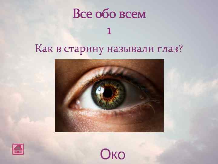 Зрение двумя глазами называют. Глаза в древности как называли. Как в старину называли глаза. Глаза как зовут.