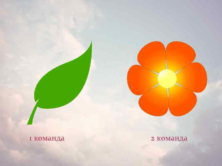 1 команда 2 команда 