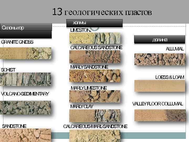 13 геологических пластов Склоныгор холмы LIMESTONE долина GRANITE GNEISS CALCAREOUS SANDSTONE SCHIST ALLUVIAL MARL