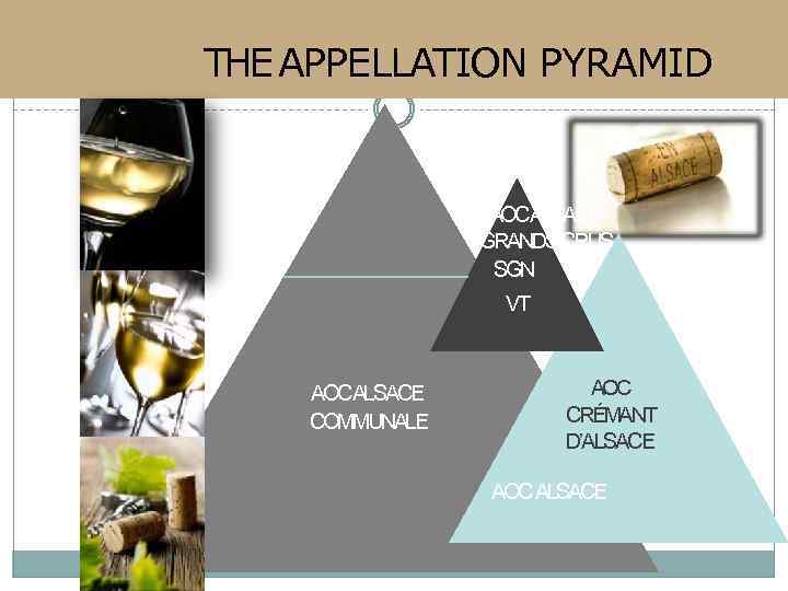 THE APPELLATION PYRAMID AOCALSACE GRANDSCRUS SGN VT AOCALSACE COMMUNALE AOC CRÉMANT D’ALSACE AOC ALSACE