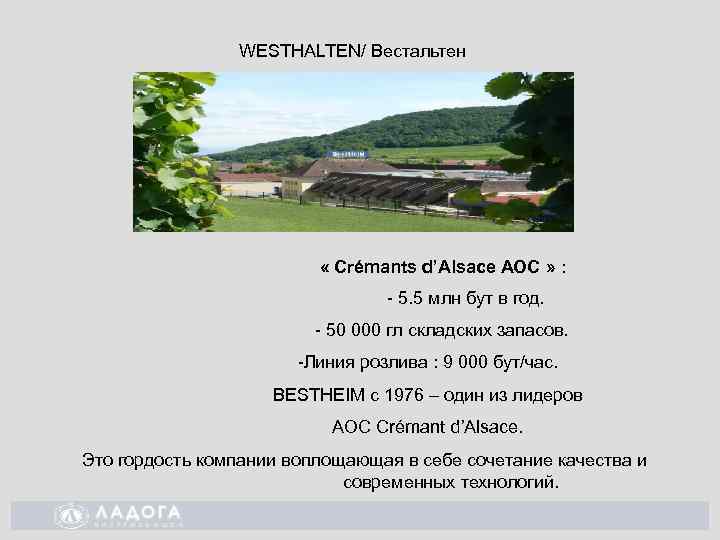 WESTHALTEN/ Вестальтен « Crémants d’Alsace AOC » : - 5. 5 млн бут в