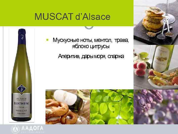 MUSCAT d’Alsace Мускусные ноты, ментол, трава, яблоко цитрусы Аперитив, дарыморя, спаржа 