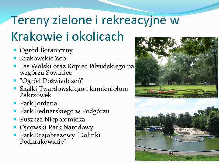 Tereny zielone i rekreacyjne w Krakowie i okolicach Ogród Botaniczny Krakowskie Zoo Las Wolski