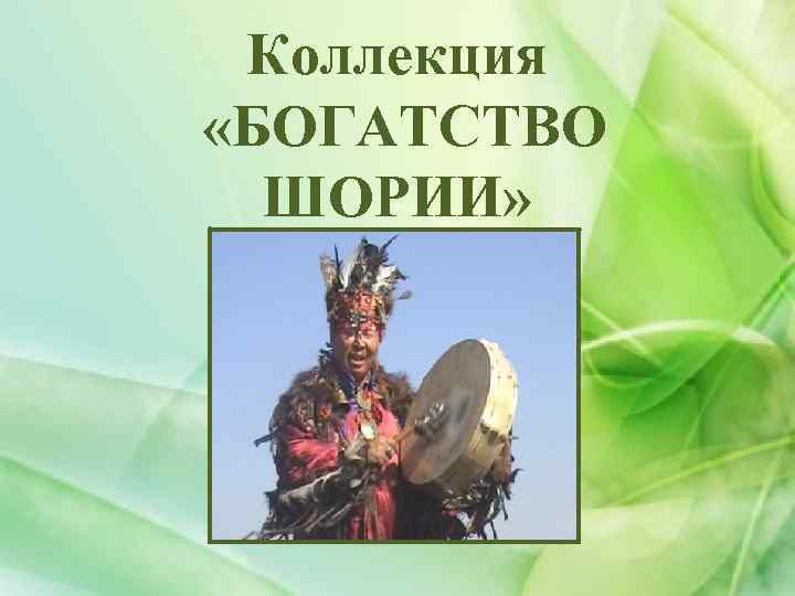 Коллекция «БОГАТСТВО ШОРИИ» 