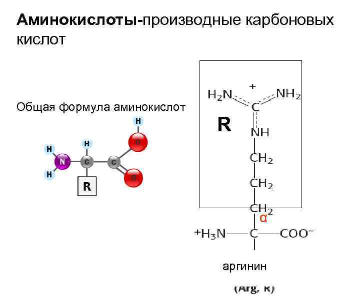 Производные аминокислот