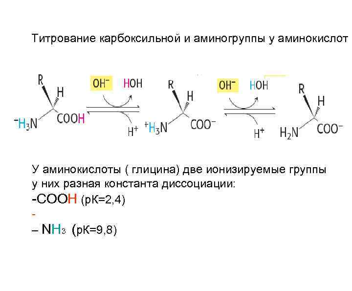 Титрование карбоксильной и аминогруппы у аминокислот У аминокислоты ( глицина) две ионизируемые группы у