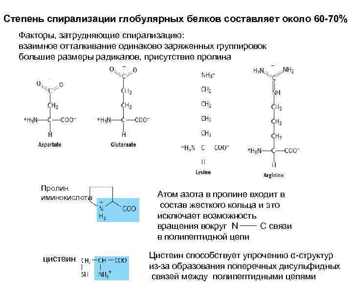 Степень спирализации глобулярных белков составляет около 60 -70% Факторы, затрудняющие спирализацию: взаимное отталкивание одинаково