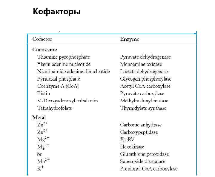 Кофакторы 