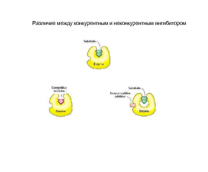 Различие между конкурентным и неконкурентным ингибитором 