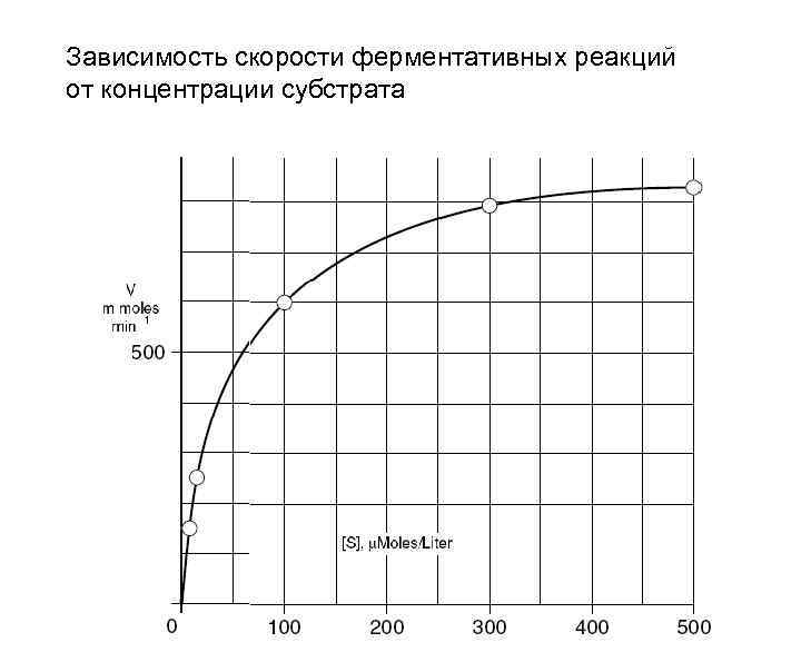 Зависимость скорости ферментативных реакций от концентрации субстрата 