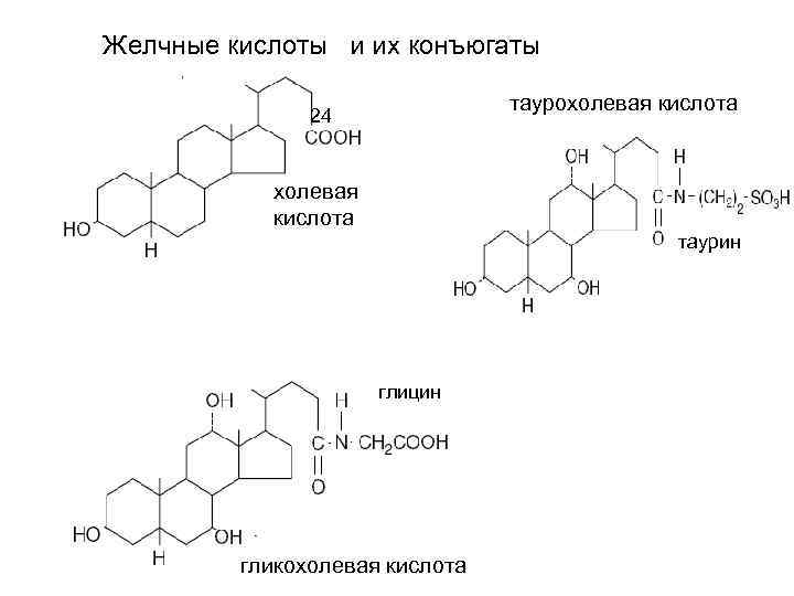 Желчные кислоты и их конъюгаты таурохолевая кислота 24 холевая кислота таурин глицин гликохолевая кислота