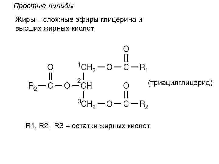 Жиры состоят из аминокислот