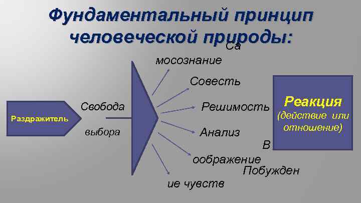 Фундаментальный принцип человеческой природы: Са мосознание Совесть Свобода Решимость Раздражитель выбора Анализ Реакция (действие