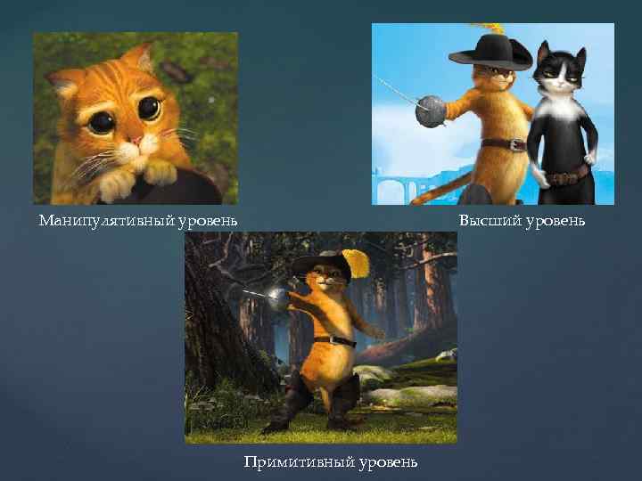 Манипулятивный уровень Высший уровень Примитивный уровень 