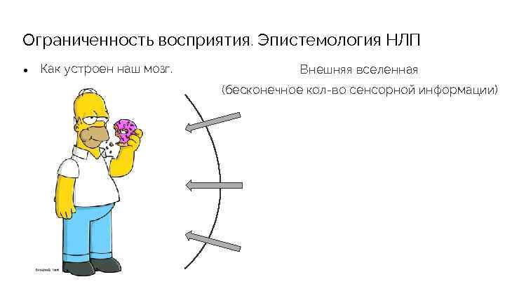 Ограниченность восприятия. Эпистемология НЛП ● Как устроен наш мозг. Внешняя вселенная (бесконечное кол-во сенсорной