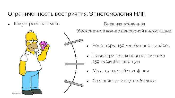 Ограниченность восприятия. Эпистемология НЛП ● Как устроен наш мозг. Внешняя вселенная (бесконечное кол-во сенсорной