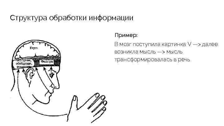Структура обработки информации Пример: В мозг поступила картинка V —> далее возникла мысль —>