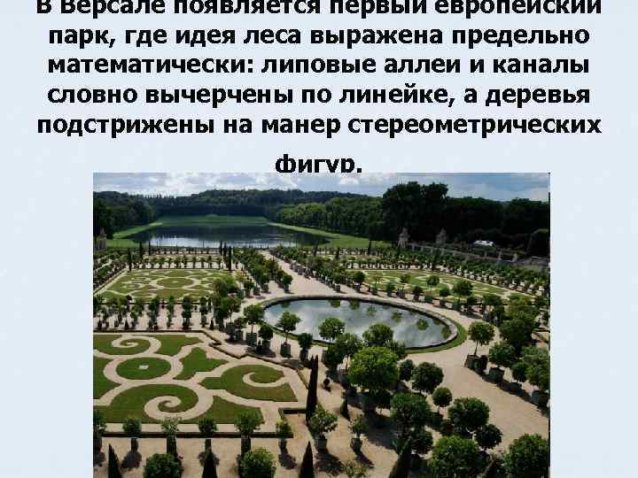 В Версале появляется первый европейский парк, где идея леса выражена предельно математически: липовые аллеи