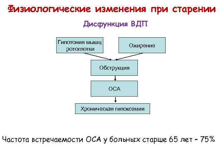 Физиологические изменения при старении Дисфункция ВДП Гипотония мышц ротоглотки Ожирение Обструкция ОСА Хроническая гипоксемия
