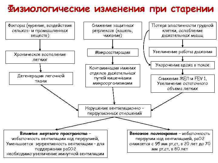 Карта пациента комплексная гериатрическая оценка