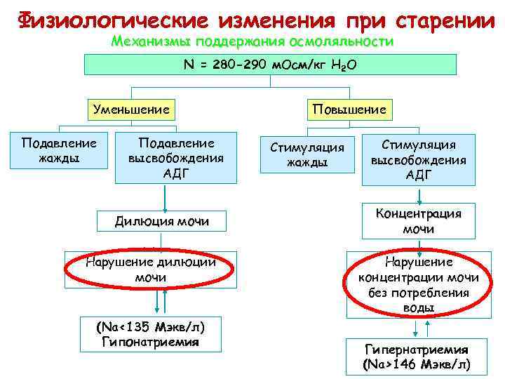 Физиологические изменения при старении Механизмы поддержания осмоляльности N = 280 -290 м. Осм/кг Н