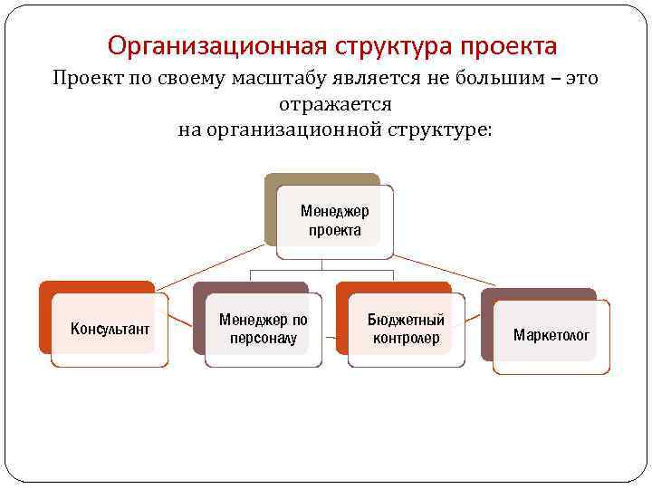 Организационная структура проекта Проект по своему масштабу является не большим – это отражается на