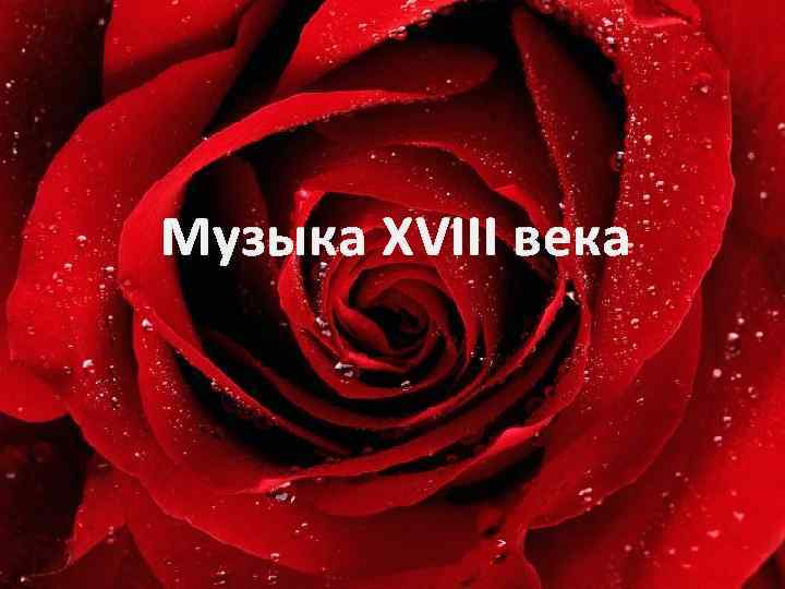 Музыка XVIII века 