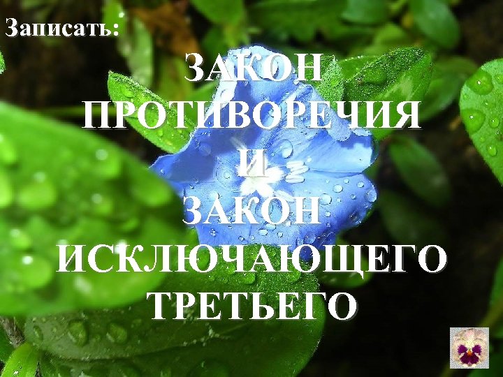 Записать: ЗАКОН ПРОТИВОРЕЧИЯ И ЗАКОН ИСКЛЮЧАЮЩЕГО ТРЕТЬЕГО 