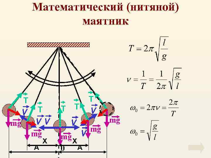 Длина маятника и частота. Амплитуда колебаний нитяного маятника. Колебания нитяного маятника формулы. Нитяной маятник. Математический маятник нитяной и пружинный.