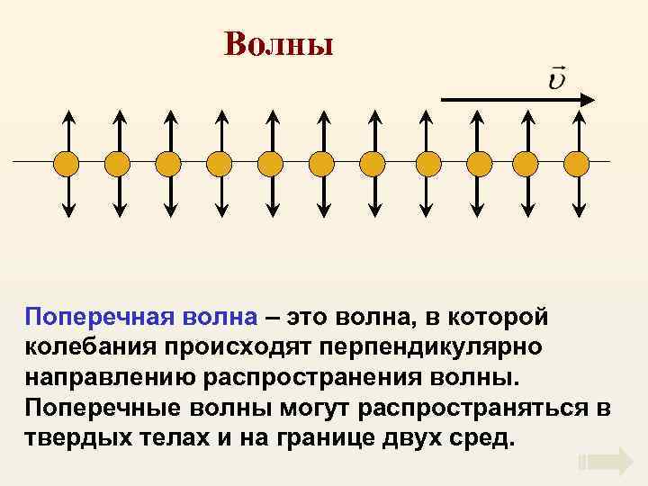 Волны Поперечная волна – это волна, в которой колебания происходят перпендикулярно направлению распространения волны.