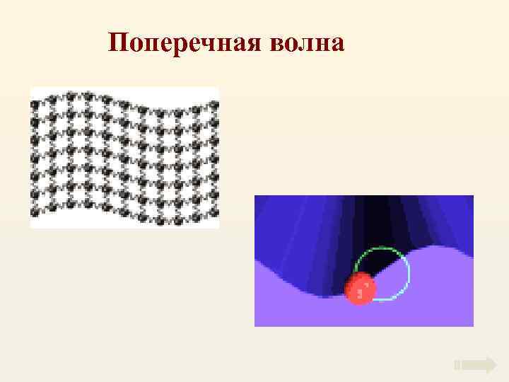 Поперечная волна 