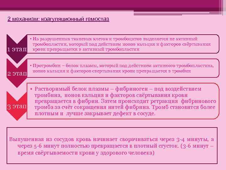 2 механизм: коагуляционный гемостаз 1 этап 2 этап • Из разрушенных тканевых клеток и