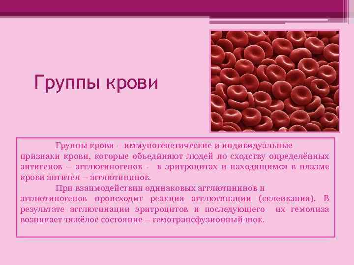 Группы крови – иммуногенетические и индивидуальные признаки крови, которые объединяют людей по сходству определённых