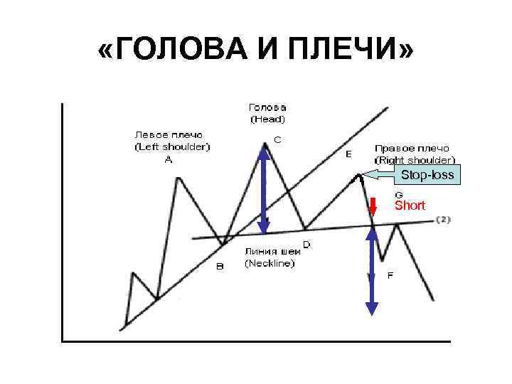 Виды головы и плеч