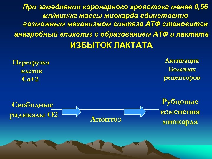 При замедлении коронарного кровотока менее 0, 56 мл/мин/кг массы миокарда единственно возможным механизмом синтеза